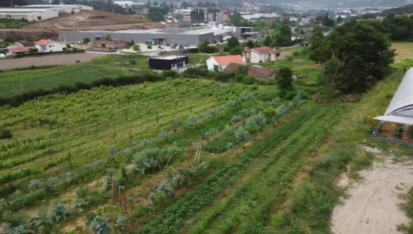 ギマランイス Quinta Do Pinheiroヴィラ エクステリア 写真