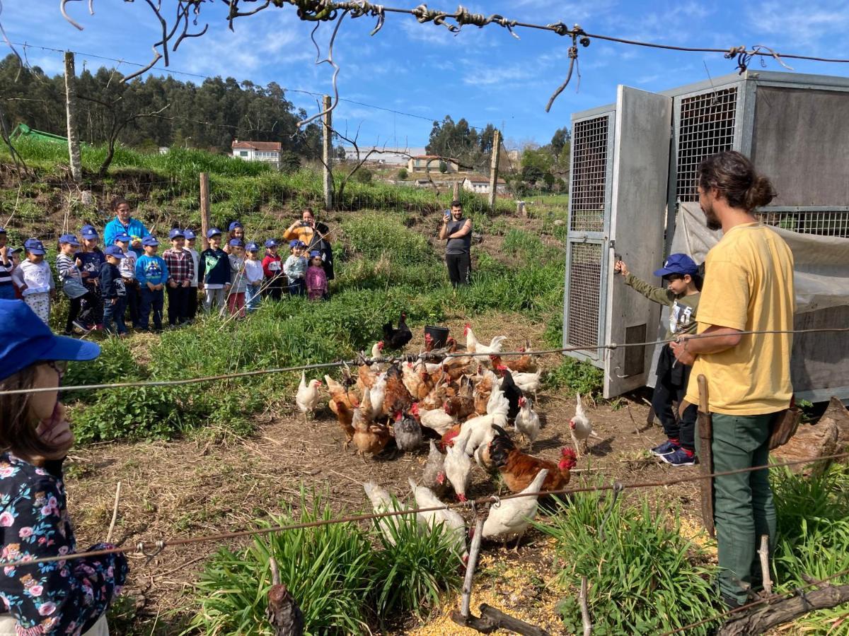 ギマランイス Quinta Do Pinheiroヴィラ エクステリア 写真